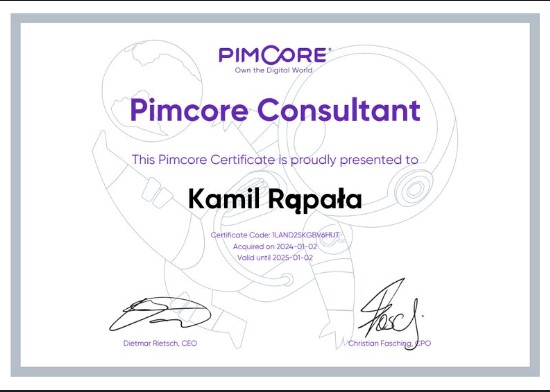 Pimcore Consultant